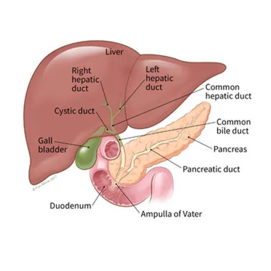 bile duct cancer package test